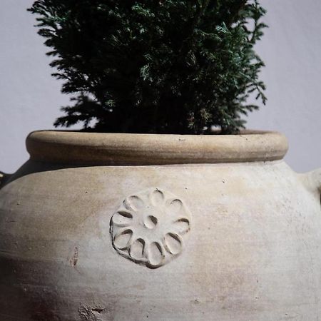 Casa Dei Vettii B&B Pompei Dış mekan fotoğraf