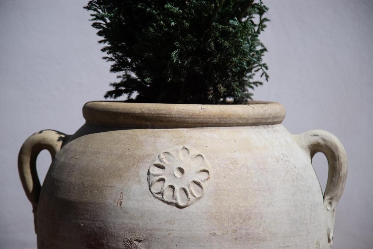 Casa Dei Vettii B&B Pompei Dış mekan fotoğraf